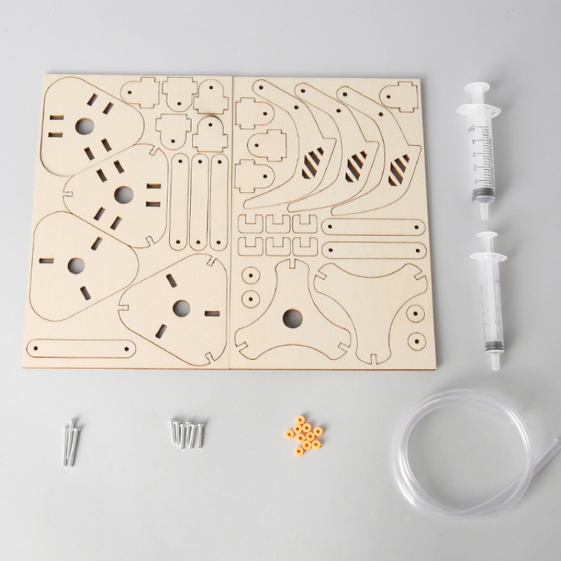 Kit Giocattolo Meccanico Idrau - Science Project Kit recensione e prezzo
